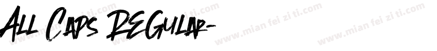All Caps Regular字体转换